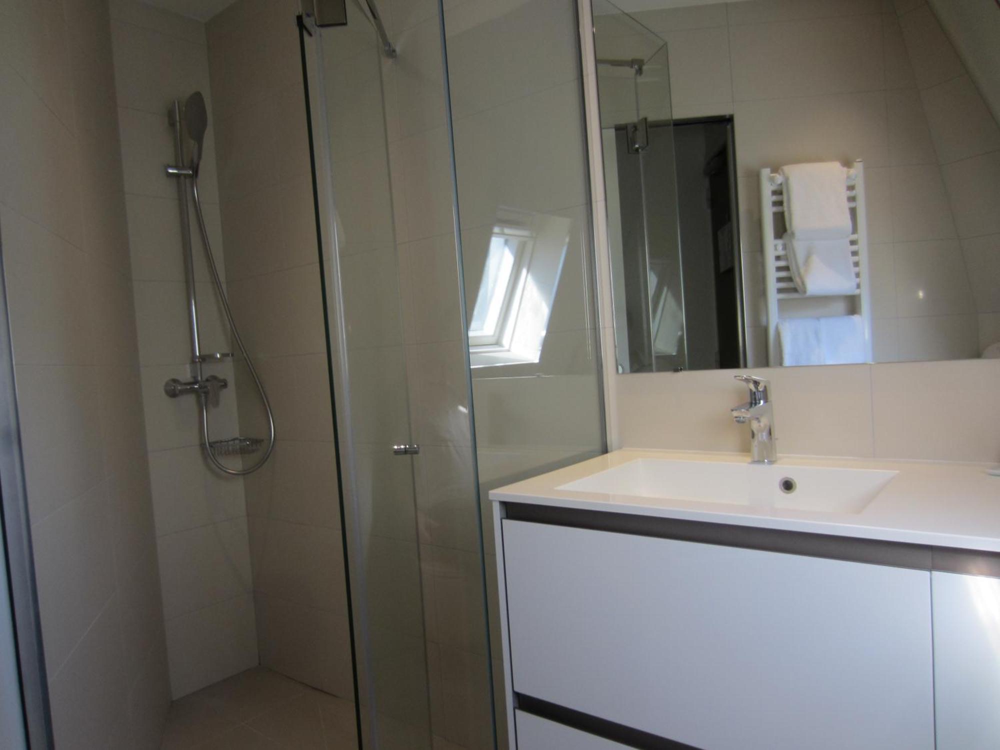 Deluxe Double Room Shower
